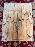 Spalted Beech - 2 Piece Guitar Top - DT758