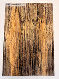 Highly Spalted Ash - 2 Piece Guitar Top - DT761