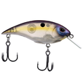 Berkley Money Badger - Shallow fishing lure with a translucent body featuring yellow and purple tones, two sharp treble hooks, and a clear diving lip for shallow water fishing.