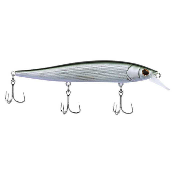 Silver Dolla / 4 3/8"