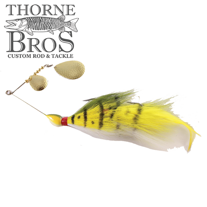 Yellow Perch