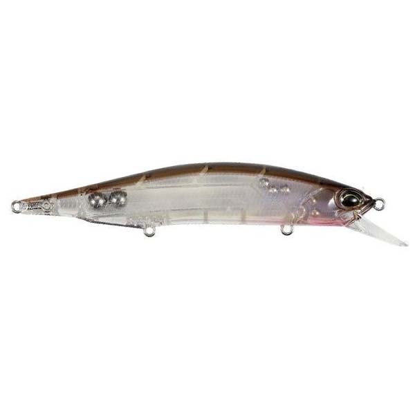 CL Dace / 4 3/8"