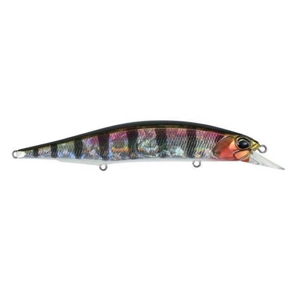 Prism Gill / 4 3/4"