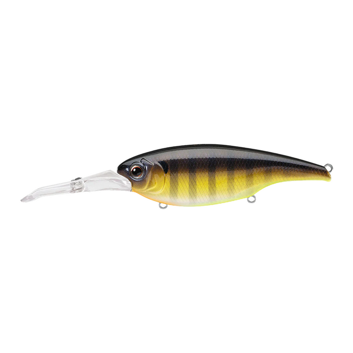Evergreen DXV-18 fishing lure with realistic yellow and black striped body and a clear diving lip designed for effective fishing tackle use in musky and freshwater fishing.