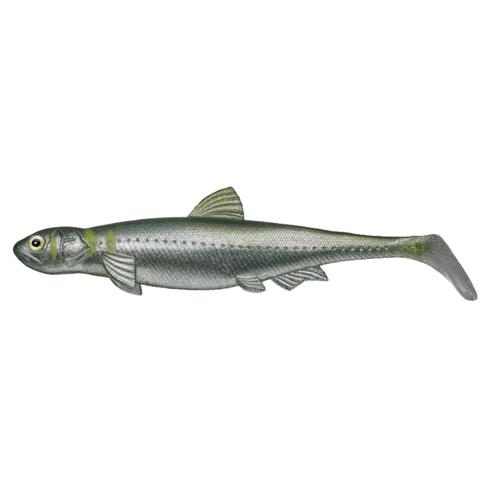 Evergreen Last Ace 140 (Line-Thru) soft fishing lure designed to resemble a small baitfish with realistic green and silver coloring, used for musky fishing.