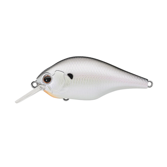 Evergreen ZR-4 fishing lure with a silver, scale-textured body and large realistic eye, designed for effective fishing tackle use.