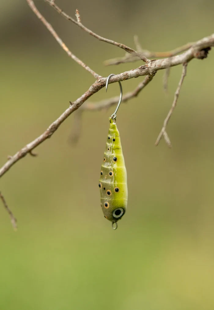 Fish Chase Flies Spiral Spook fishing lure hanging from a small branch, featuring a green body with black and orange spotted pattern and a single fishing hook.