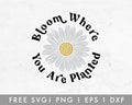 FREE Bloom Where You Planted SVG