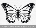 FREE Butterfly SVG | Hand Drawn Cut File for Cricut, Cameo Silhouette | Free SVG Cut File