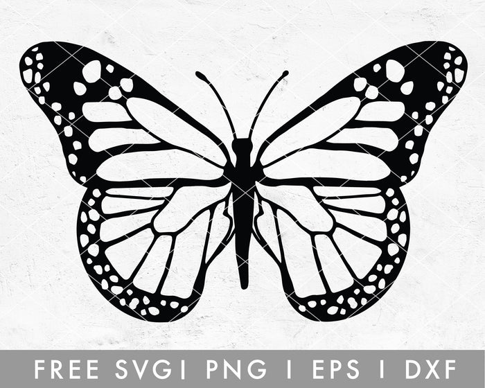 FREE Butterfly SVG | Hand Drawn Cut File for Cricut, Cameo Silhouette | Free SVG Cut File