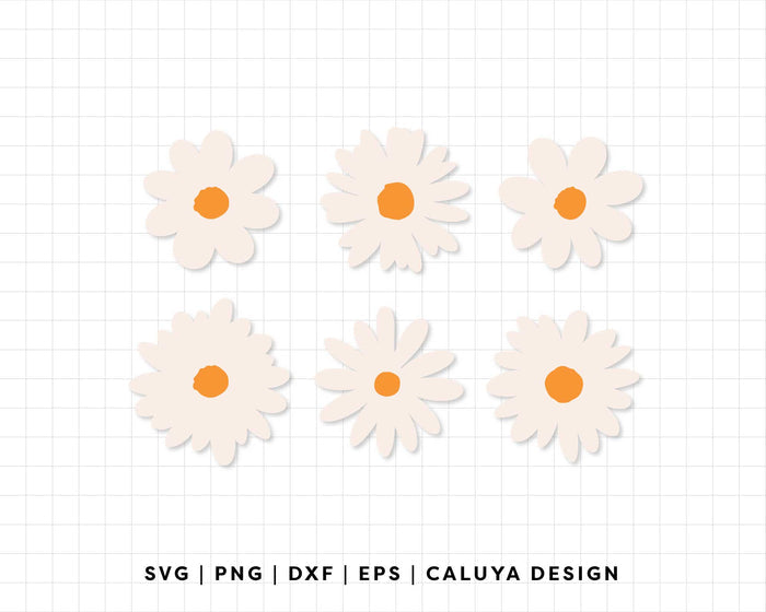 FREE Daisy Flower SVG | Simple Daisy SVG