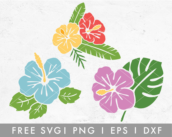 FREE Hibiscus SVG Cut File for Cricut, Cameo Silhouette | Free SVG, PNG, Vector