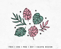 FREE Monstera SVG | Tropical Leaves SVG Cut File for Cricut, Cameo Silhouette | Free SVG Cut File