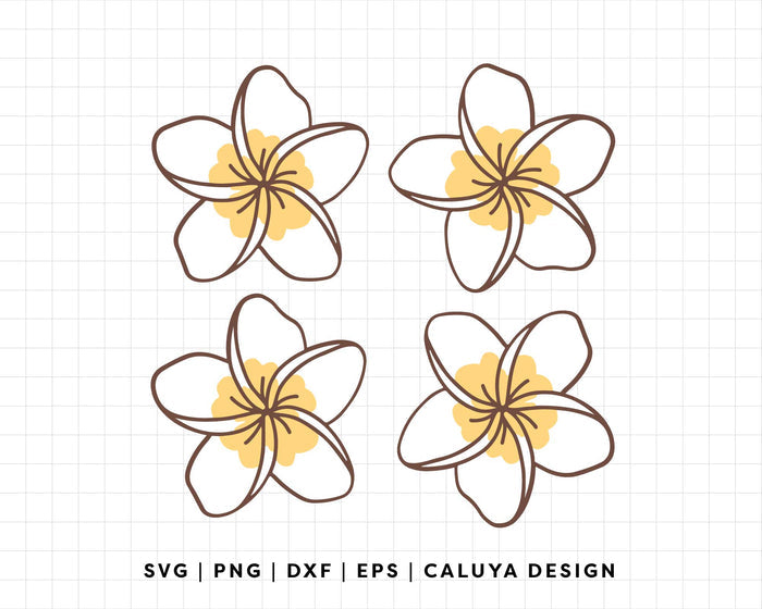 FREE Plumeria Flower SVG | Tropical Flower SVG