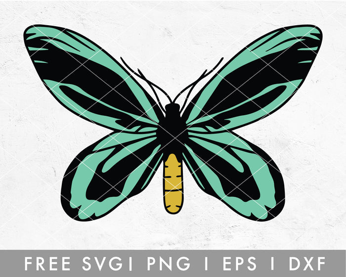 FREE Queen Butterfly SVG