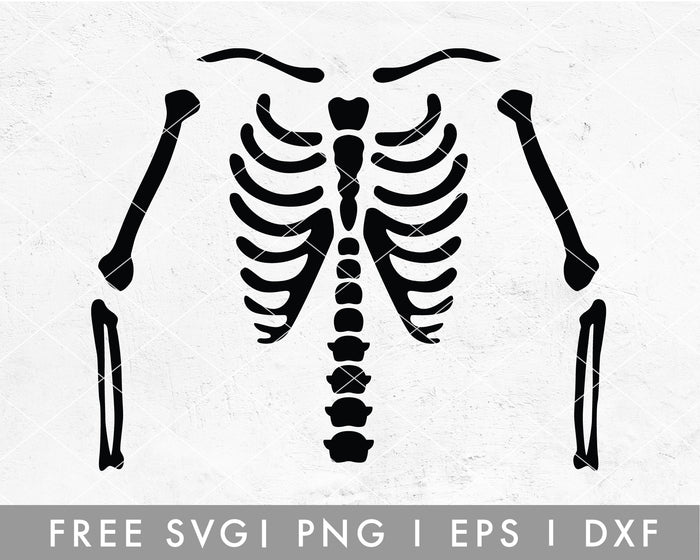 FREE Skeleton T-shirt Making SVG Cut File for Cricut, Cameo Silhouette