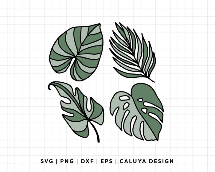 FREE Tropical Leaf SVG | Monstera SVG