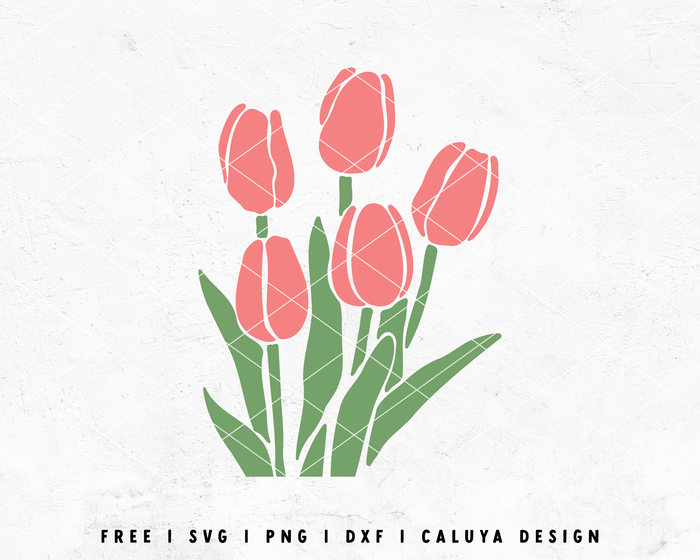 FREE Tulip SVG | Spring Flower SVG Cut File for Cricut, Cameo Silhouette | Free SVG Cut File