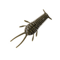 Great Lakes Finesse Ned Bug fishing lure in olive green with segmented ribbed body and multiple appendages designed for lifelike movement in the water.