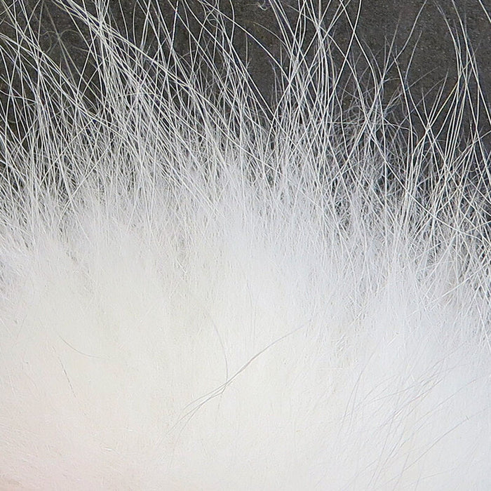 Close-up image of soft, fine white fur fibers representing Hareline Arctic Fox Hair, used for creating custom fishing lures and fly fishing tackle.