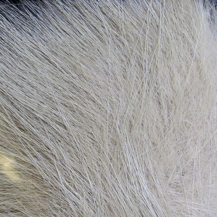 Close-up of natural, soft, fine pale gray and white fur fibers from Hareline Arctic Fox Hair used for fly fishing tackle and lure crafting.