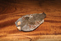 Hareline Hungarian Partridge Skin laid flat on a wooden surface, showing detailed grey and brown feather patterns used for fly fishing lure tying.