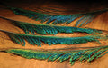 Close-up of several iridescent green and blue Hareline Peacock Sword feathers laid out on a wooden surface, showcasing detailed texture and color variation for fishing tackle use.