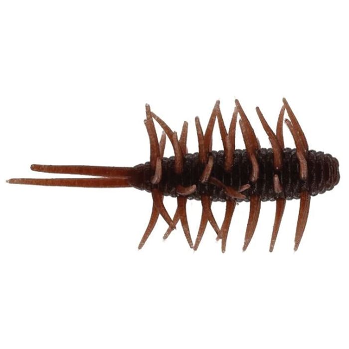 Hideup Coike Shrimp Medium