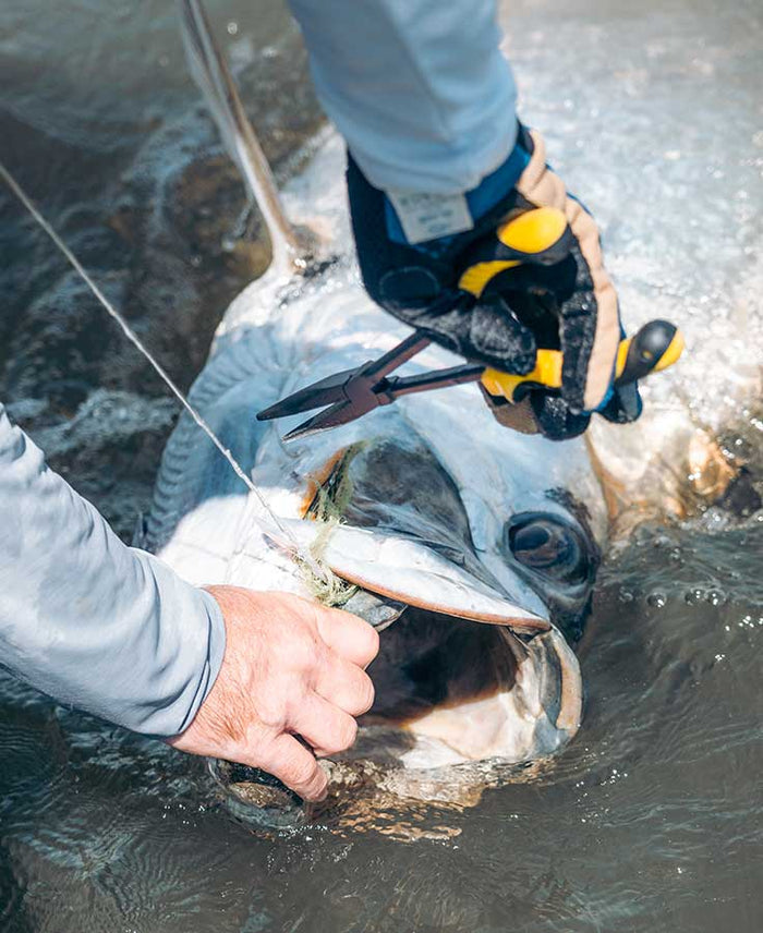 Angled close-up of a gloved hand using Loon Apex Needle Nose Pliers to remove fishing tackle from the mouth of a large fish partially submerged in water.