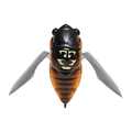 Megabass Grand Siglett fishing lure designed to resemble a cicada with translucent brown and black body and detailed gray wings, ideal for fishing tackle enthusiasts.