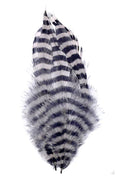 Close-up of several MFC Barred Schlappen feathers featuring black and white horizontal stripes, used as fishing tackle for fly fishing lures.