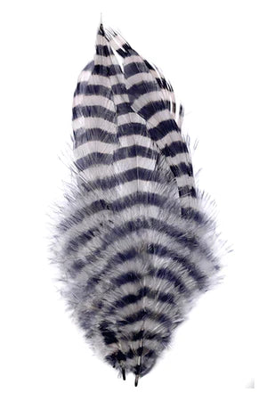 Close-up of several MFC Barred Schlappen feathers featuring black and white horizontal stripes, used as fishing tackle for fly fishing lures.