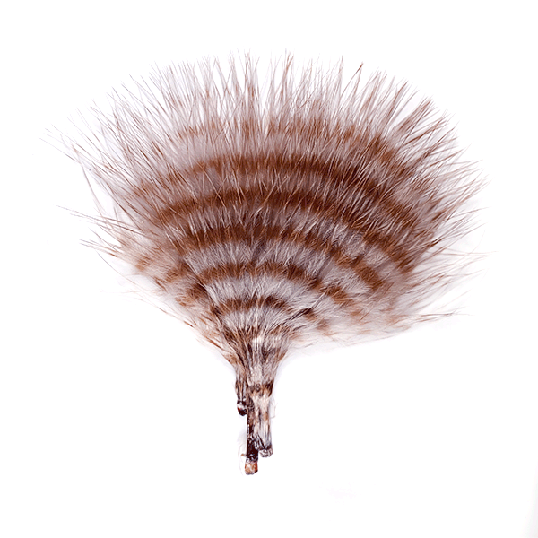 MFC Buggerbou Mini Barred fly fishing lure featuring finely barred brown and white feathers, designed for musky and freshwater fishing tackle.