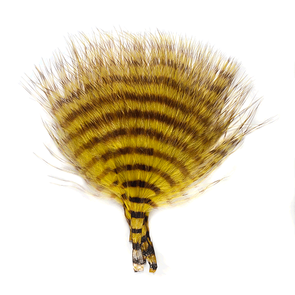 Close-up of a yellow and black barred feather pattern designed for fly fishing, shown against a white background, labeled as MFC Buggerbou Mini Barred.