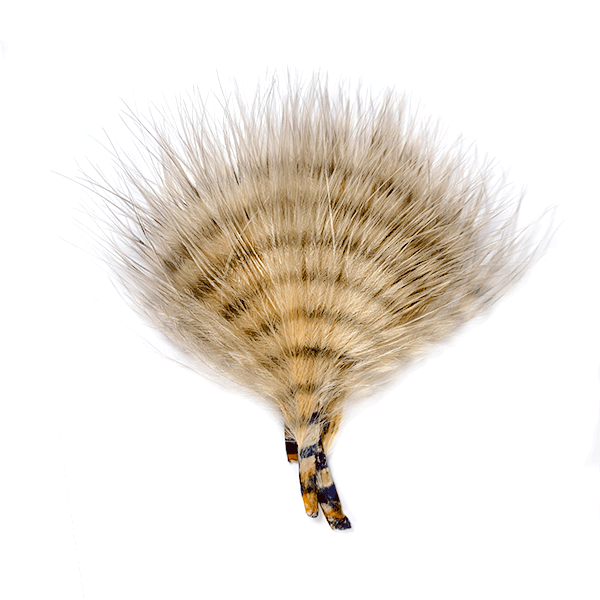 Close-up of a soft, natural-looking fly fishing lure featuring barred, light brown and beige feathers with fine, wispy tips labeled as MFC Buggerbou Mini Barred.