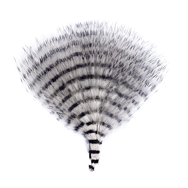 MFC Buggerbou Mini Barred fishing lure with a fan-shaped design featuring black and white barred feathers, ideal for musky fishing and fly fishing tackle.