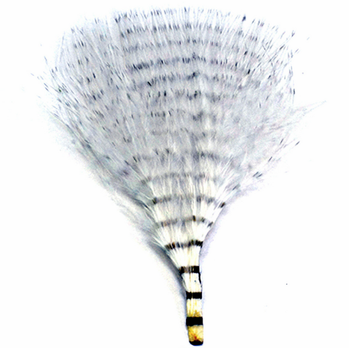MFC Mini Barred Marabou fishing lure featuring delicate barred gray and white feathers, designed for effective fishing tackle use in musky and fly fishing.