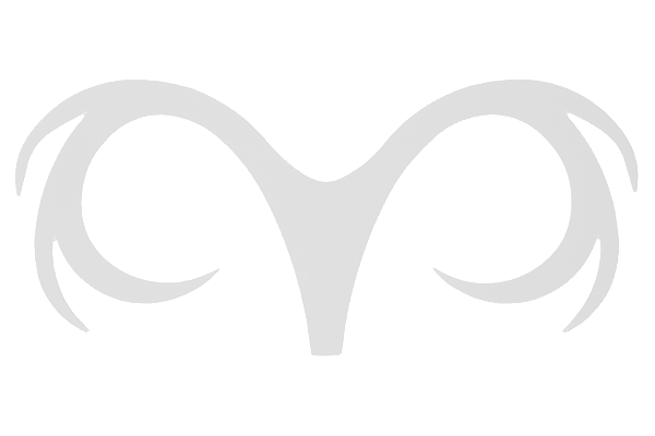 MFC Pacchiarini's Double Dragon Tail logo featuring a stylized gray symmetrical design resembling antlers or a double dragon tail, used for fishing tackle branding.
