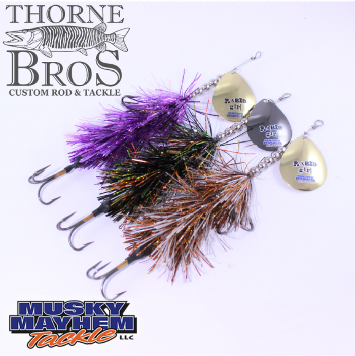 Three Musky Mayhem Rabid Girl 8" - Single Blade fishing lures with shiny, colorful skirts in purple, black, and orange, featuring silver and gold blades and treble hooks.