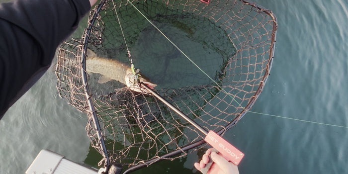 Angler using a Net Buddy DWF Hookout tool to safely remove a fish from a fishing net over water during a fishing trip.