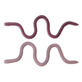 Two flexible fishing lures shaped like worms in shades of brown and pink designed for use as OSP MMZ Worm fishing tackle.