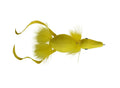 Rainy's Dead Duck fishing lure with bright yellow body, feathered tail, and soft feather accents designed for musky and fly fishing tackle.