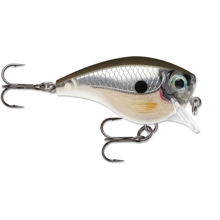 03 / Pearl Grey Shiner