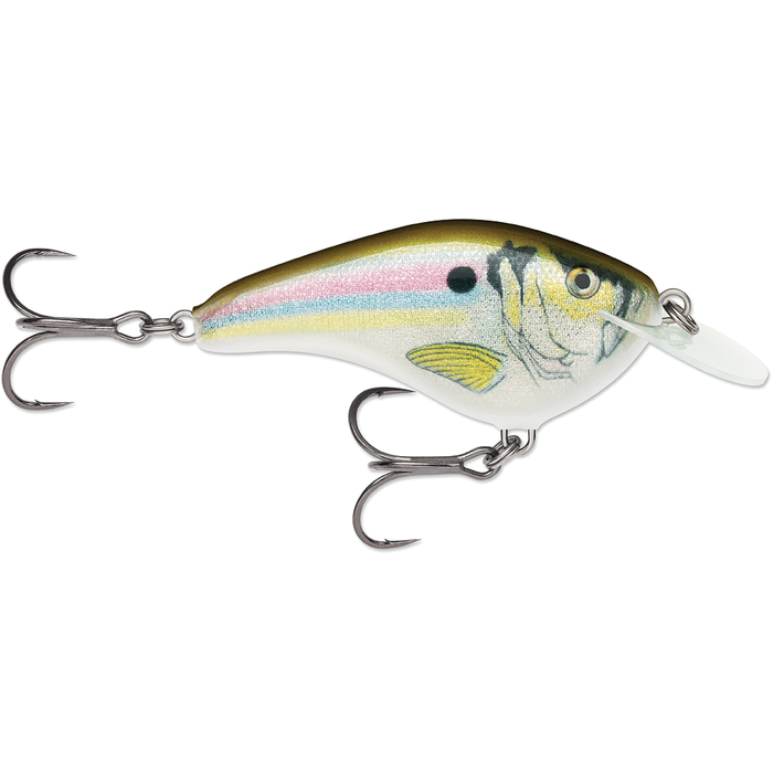 OGS6 / Live River Shad