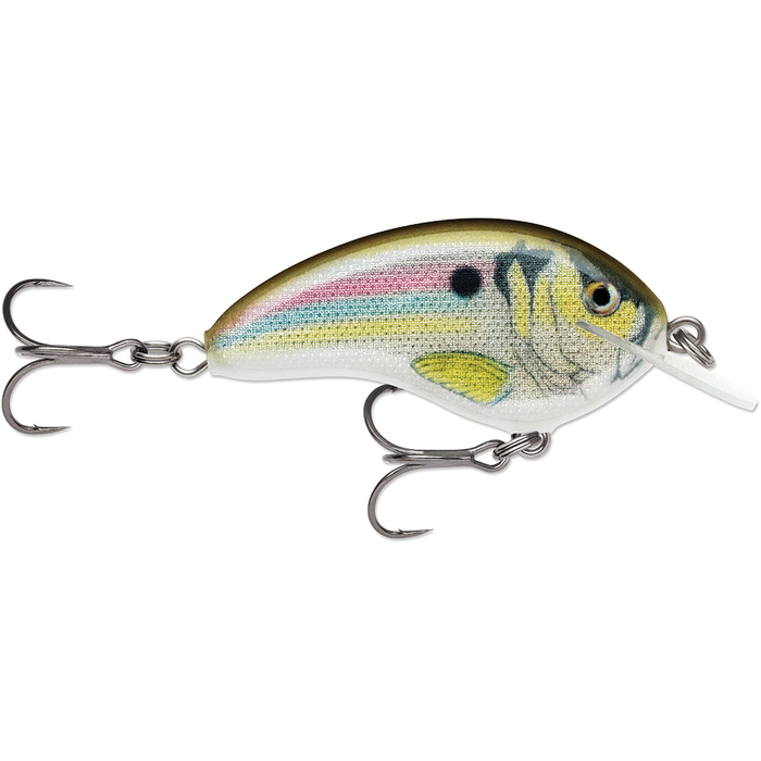 OGT4 / Live River Shad
