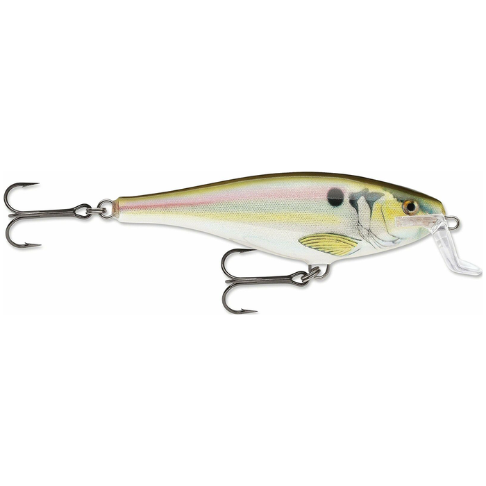 14 / Live River Shiner