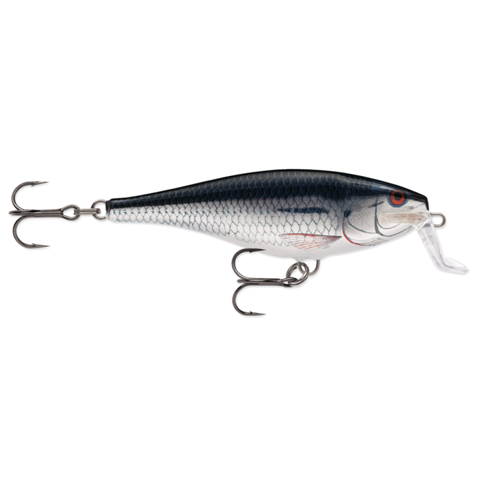 14 / Silver Shiner
