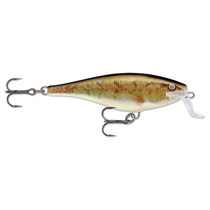 14 / Walleye