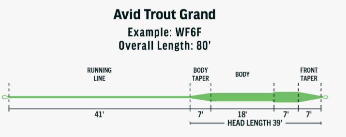 Diagram showing the line taper design for Rio Avid Grand fly fishing line, detailing sections including running line, body taper, body, and front taper over a total length of 80 feet.