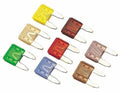 SeaDogLine 3amp Mini Blade Fuse (5pcs) shown in various colors with clear plastic casing and metal prongs, used for electrical protection in marine electronics and fishing tackle.
